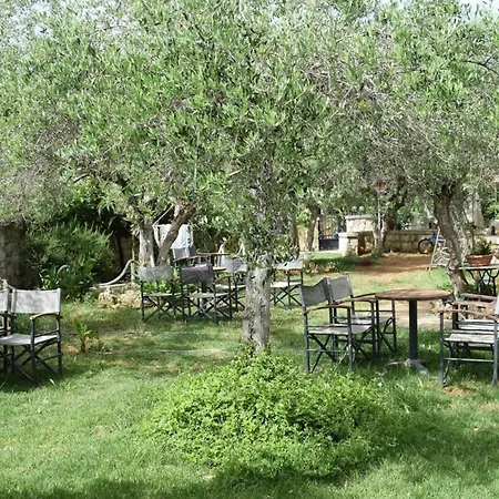Ilias In Chania *